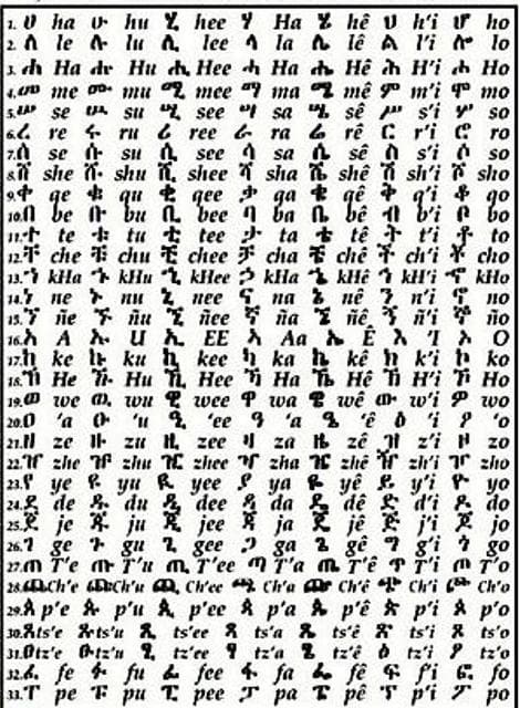 231 Characters